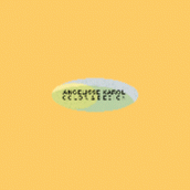 Angelisse Karol Color Design