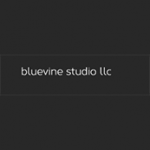 Bluevine Studio LLC