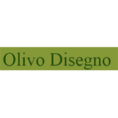 Olivo Disegno