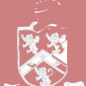 Rollins-Andrew Interiors