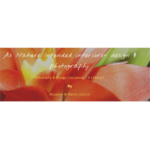 As Nature Intended interiors