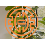 Chenault James Interiors