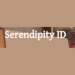Serendipity Interior Designs LLC