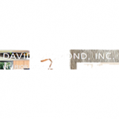 David Desmond Inc
