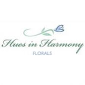 Hues In Harmony