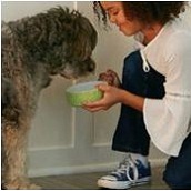 Action Carpet And Floor Decor