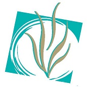 Luna Beach Interiors