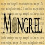 Mongrel Design