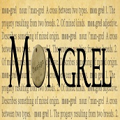 Mongrel Design