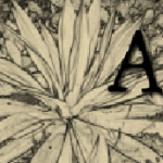 Anson Design CO