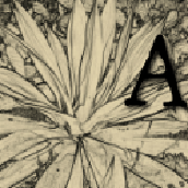 Anson Design CO