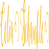 In The Pursuit of WOW! Design Studio