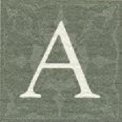 AbbottInteriors