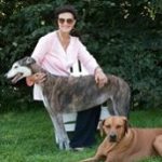 DesignLogicLimitedInc