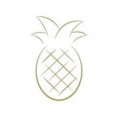 Pineapplehouseinteriordesign