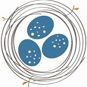 MakeNestInteriors