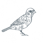 MariaCauseyInteriorDesign