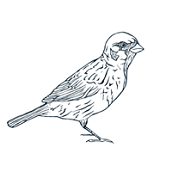 MariaCauseyInteriorDesign