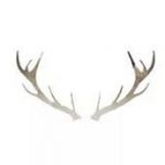 NaturalInstinctsInteriorDesign