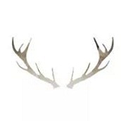 NaturalInstinctsInteriorDesign