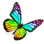 DesignTransformationsLLC