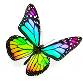 DesignTransformationsLLC