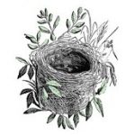 RefreshYourNest