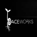 BACEWORKSLLC