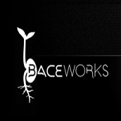 BACEWORKSLLC