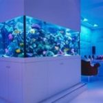 OkeanosCustomAquariumsFishTanksandPonds