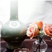 ShannonMLeddyInteriorDesignASID