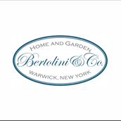 BertoliniandCo