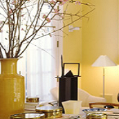 CARLSTEELEANDASSOCINC