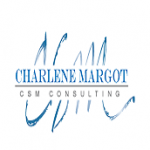 CSMConsulting