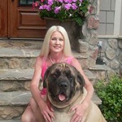 AskAmyInteriorDesignLLC
